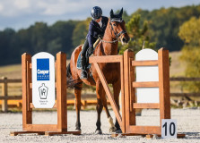 Czech Society for Working Equitation