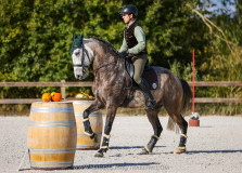 Czech Society for Working Equitation