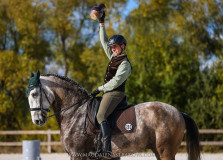 Czech Society for Working Equitation