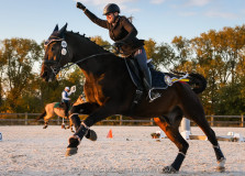 Czech Society for Working Equitation