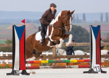 Czech Society for Working Equitation