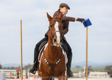 Czech Society for Working Equitation