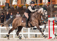Czech Society for Working Equitation