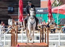 Czech Society for Working Equitation