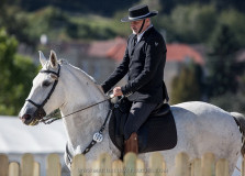 Czech Society for Working Equitation