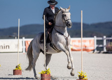 Czech Society for Working Equitation