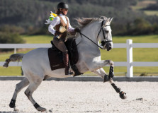 Czech Society for Working Equitation