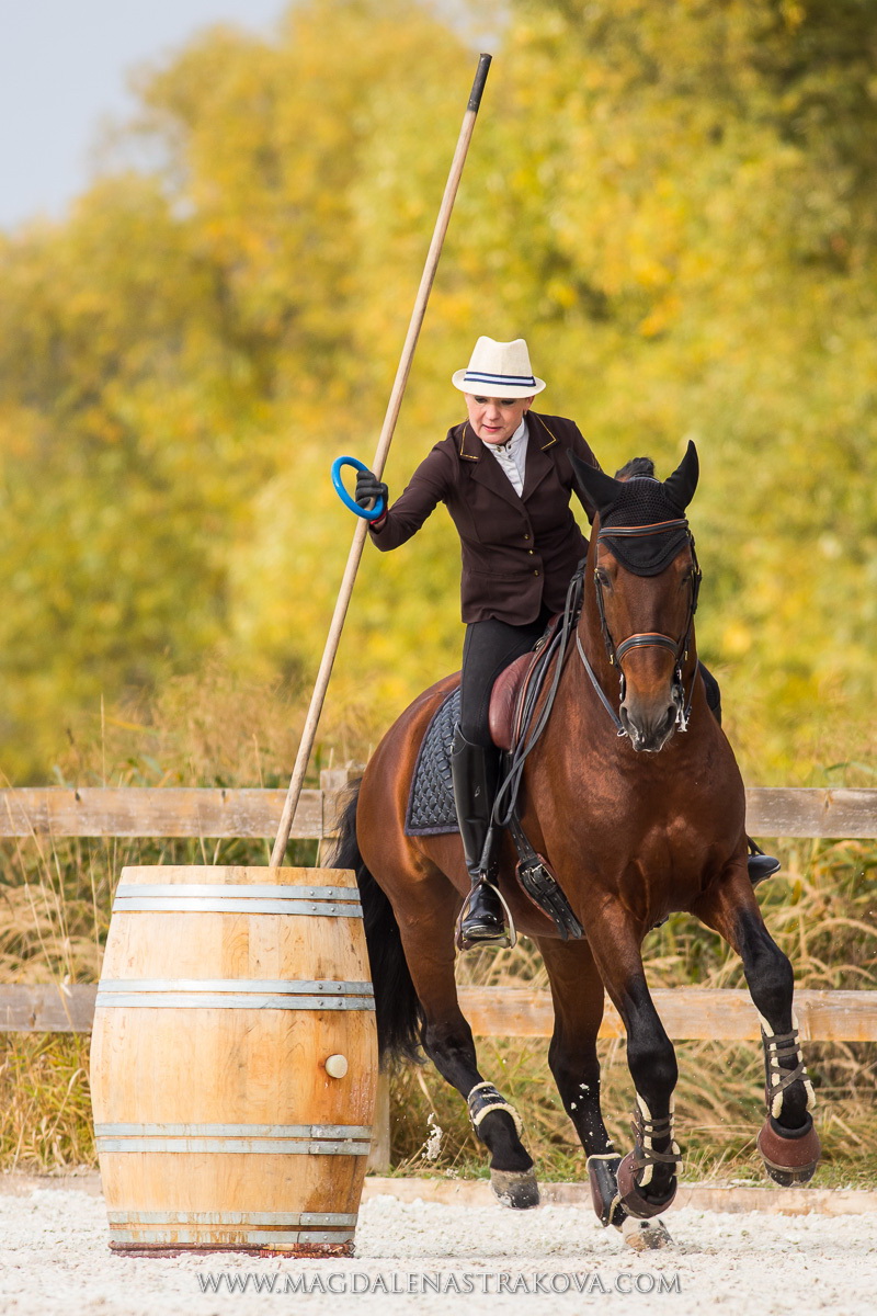 Czech Society for Working Equitation