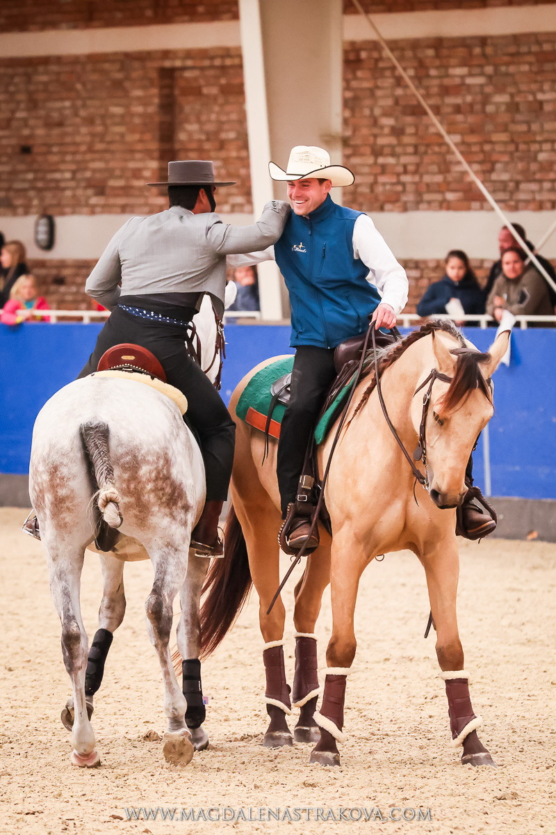 Czech Society for Working Equitation