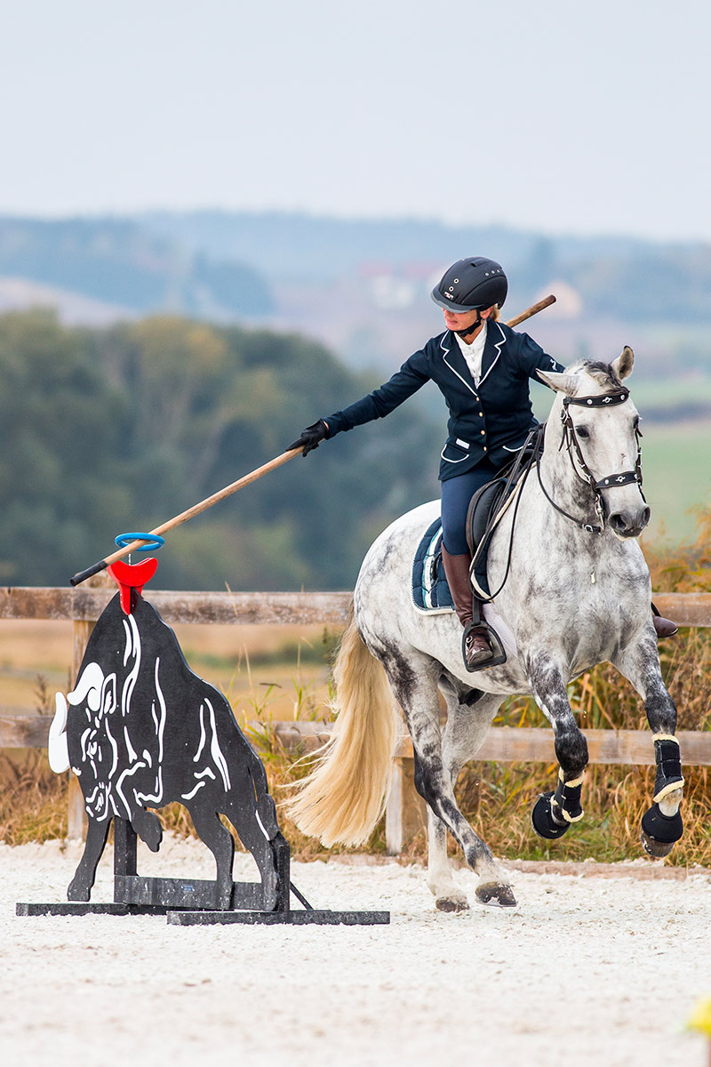 Czech Society for Working Equitation