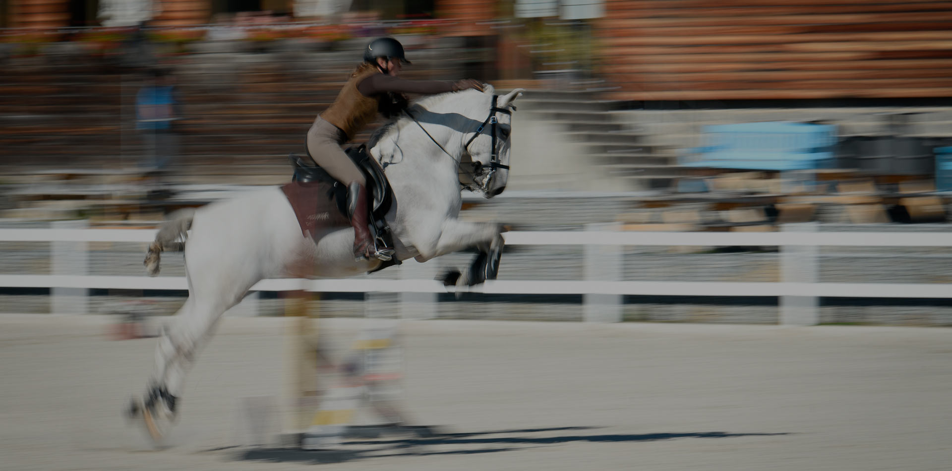 Czech Society for Working Equitation