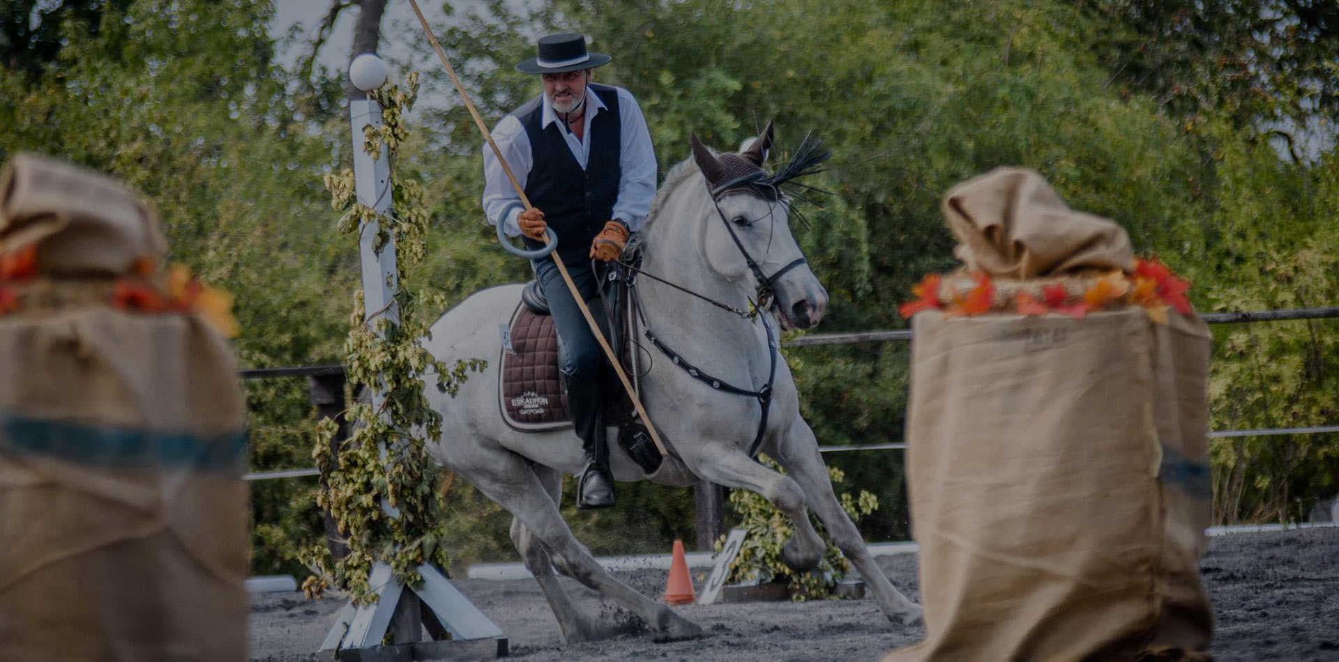Czech Society for Working Equitation