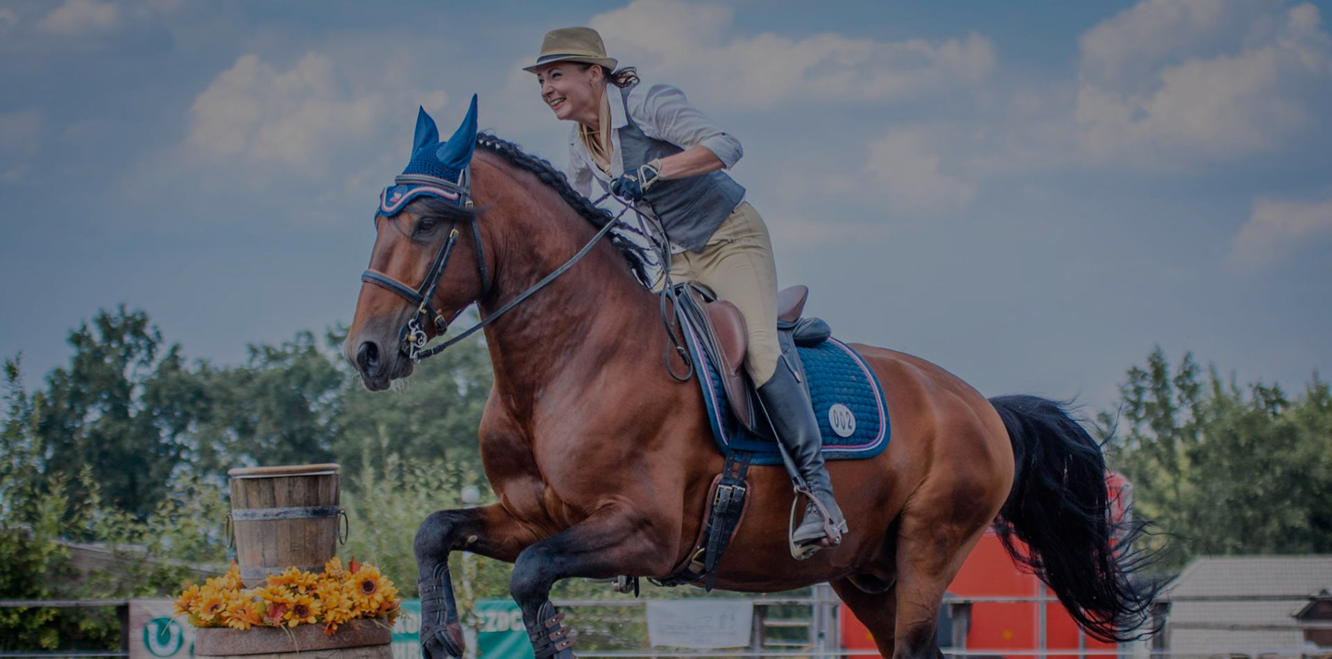 Czech Society for Working Equitation