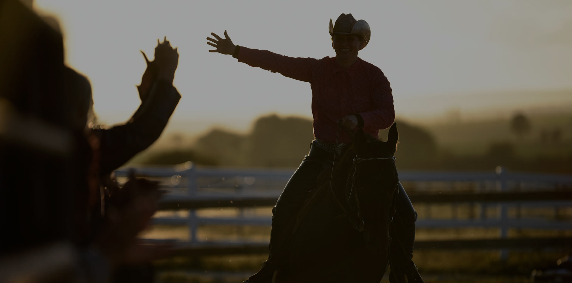 Czech Society for Working Equitation